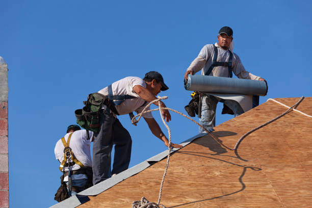 Best Emergency Roof Repair  in Knik Fairview, AK