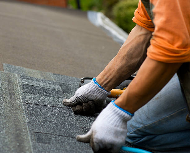 Best Local Roofing Companies  in Knik Fairview, AK