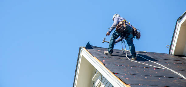Best Roof Maintenance Services  in Knik Fairview, AK